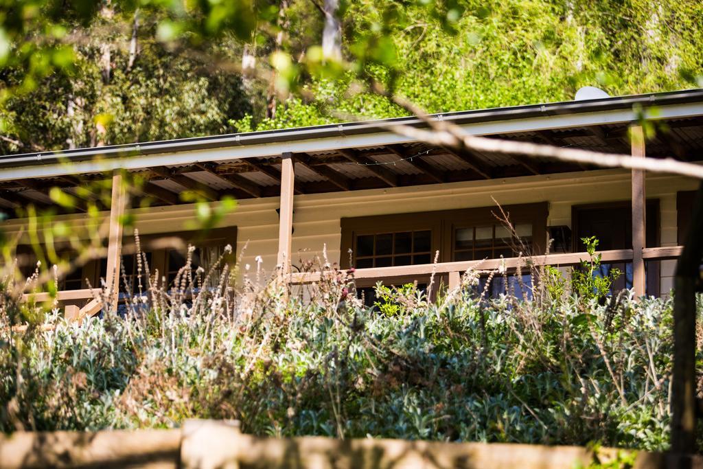 Bed and Breakfast Buttercup Hill Warburton Exterior foto